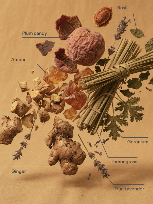 HERBAL PLUM & GINGER | Fresh Herbal