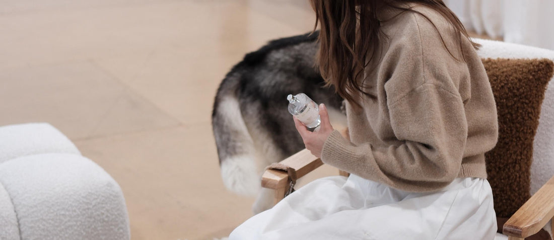 Designed to Be Lived In: A Modern Approach to Pet-Safe Living