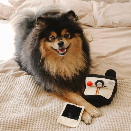 INSTANT CAMERA | SNUFFLE