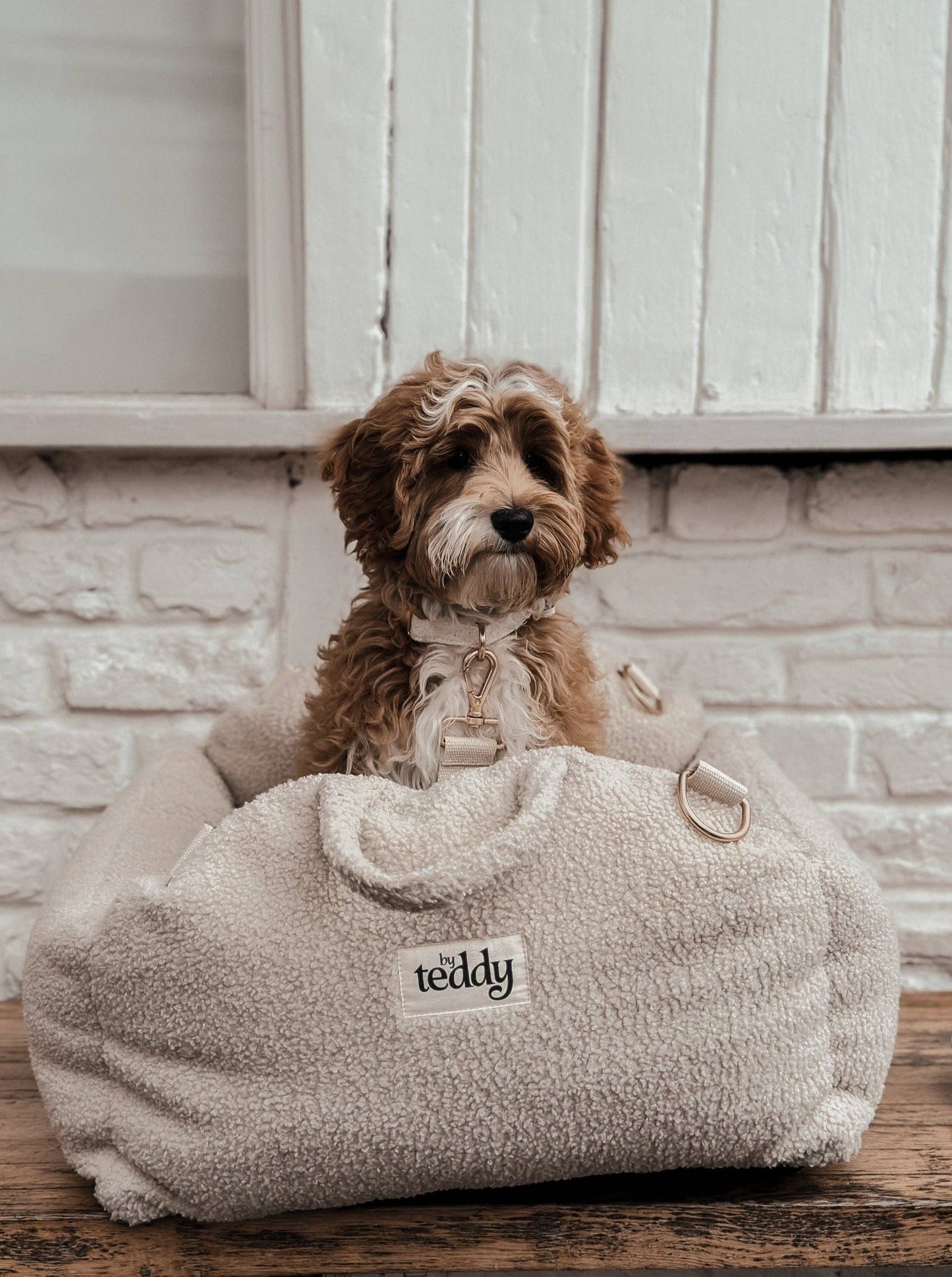 3-in-1 Cozy Travel Seat | Hazelnut