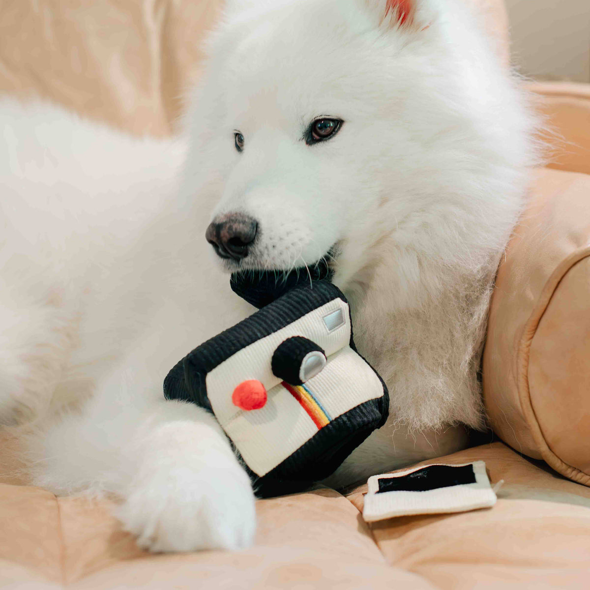 INSTANT CAMERA | SNUFFLE