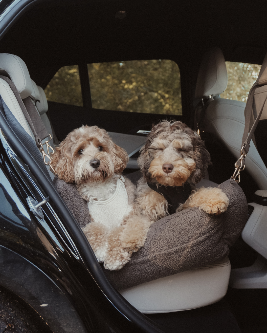 Extra Large Cozy Car Seat | Chocolate