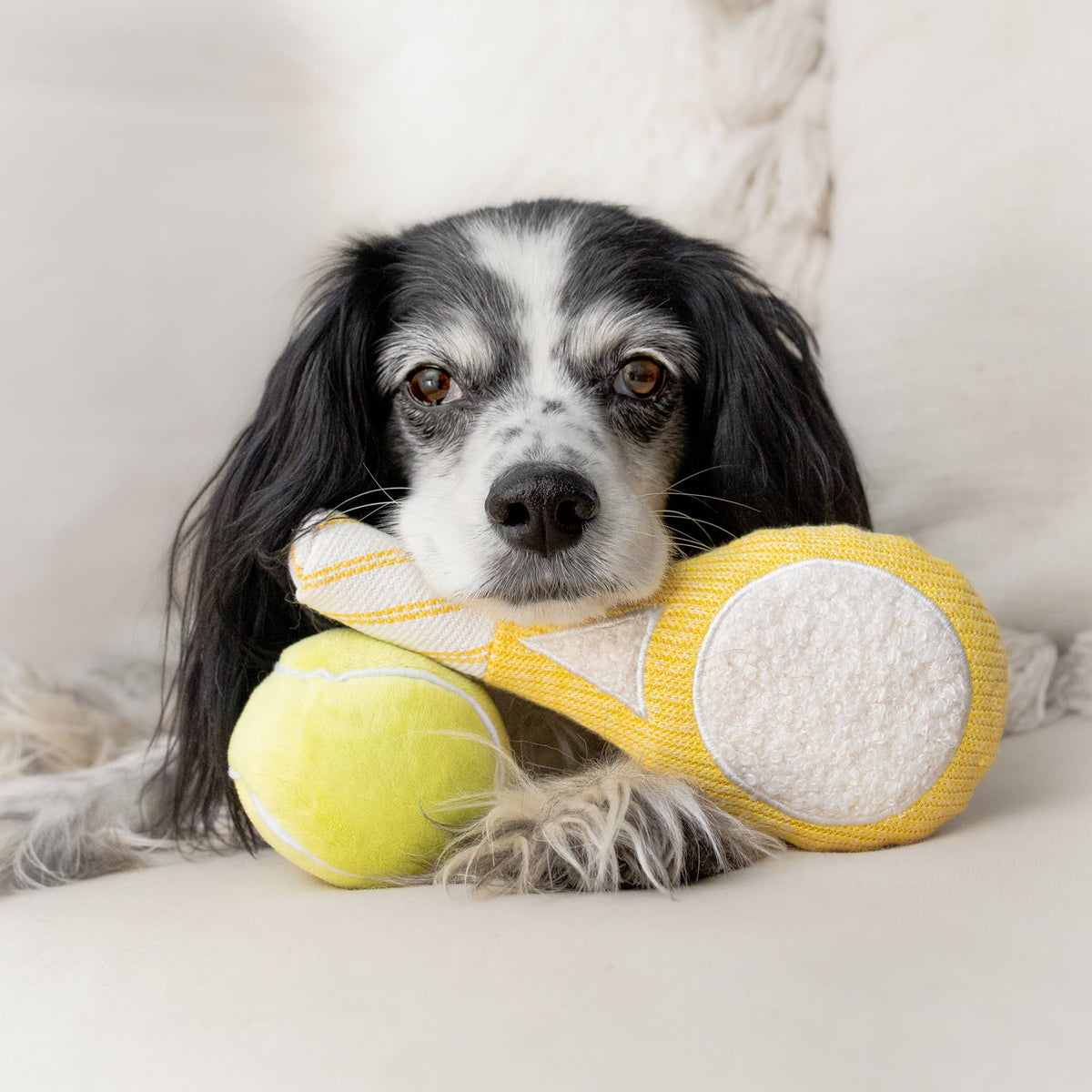 TENNIS POP | Squeaky Ball Set