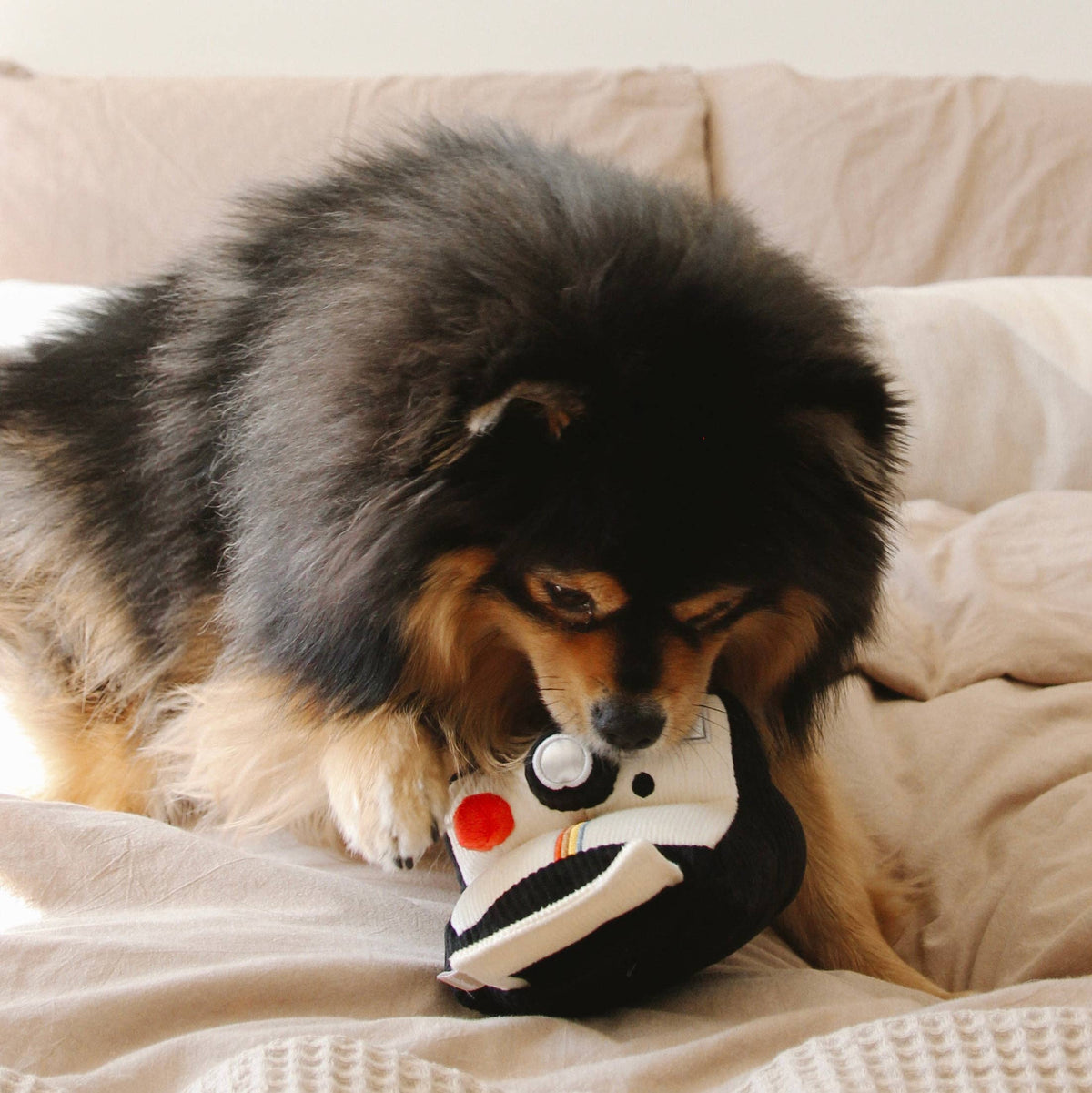 INSTANT CAMERA | SNUFFLE