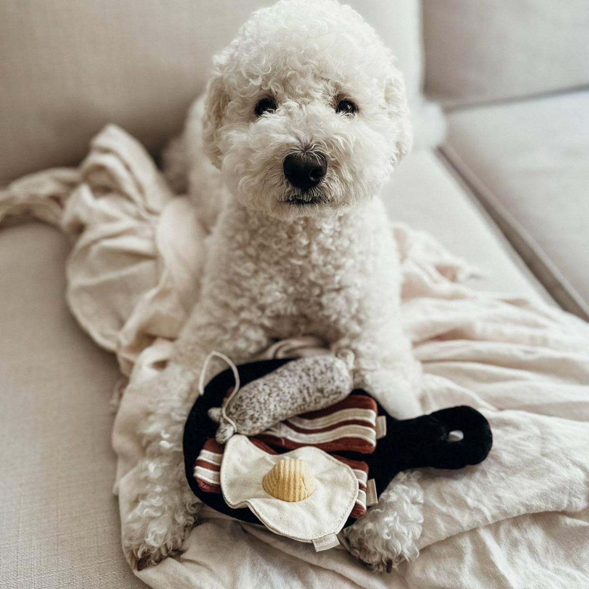 BFAST SET | SNUFFLE TOY SET