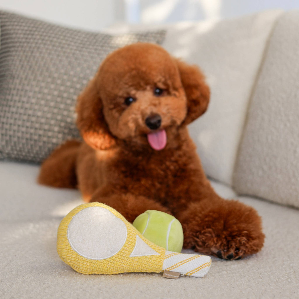 TENNIS POP | Squeaky Ball Set