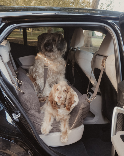 Extra Large Cozy Car Seat | Chocolate