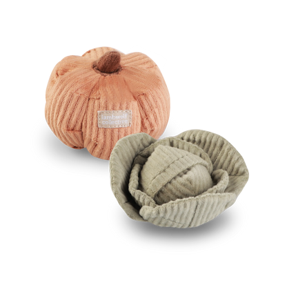 KITTY VEGGIE SET | SCENT & SEARCH