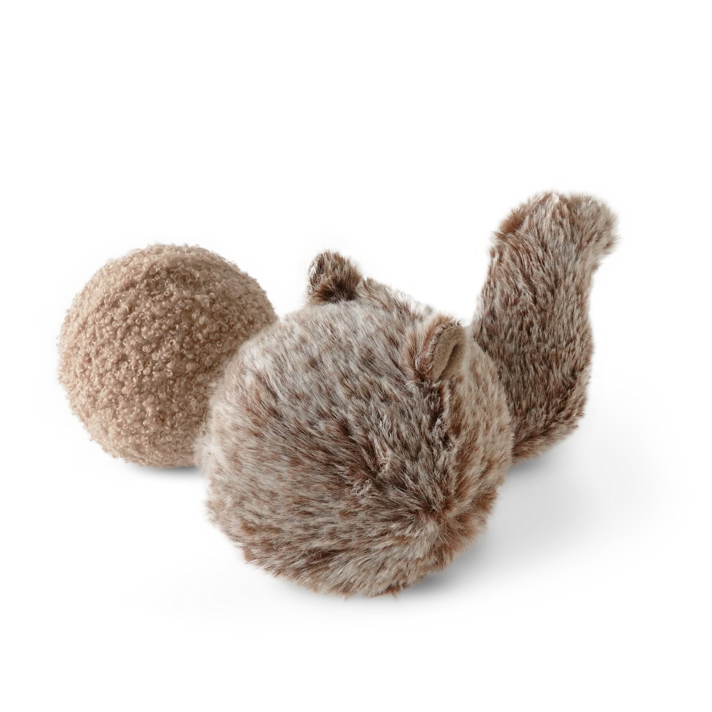 SQUIRREL POP | CHASE & FETCH