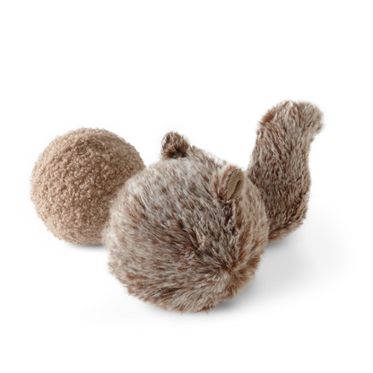 SQUIRREL POP | CHASE & FETCH