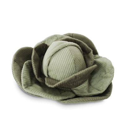 CABBAGE POP | SENSORY & SNUFFLE