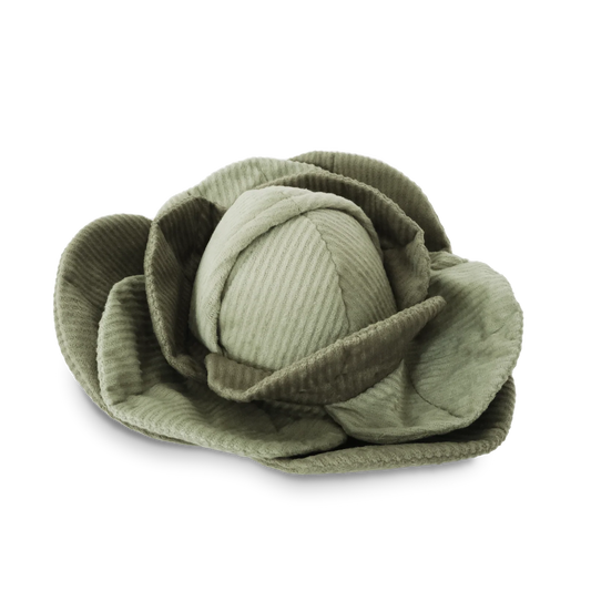 CABBAGE POP | SENSORY & SNUFFLE