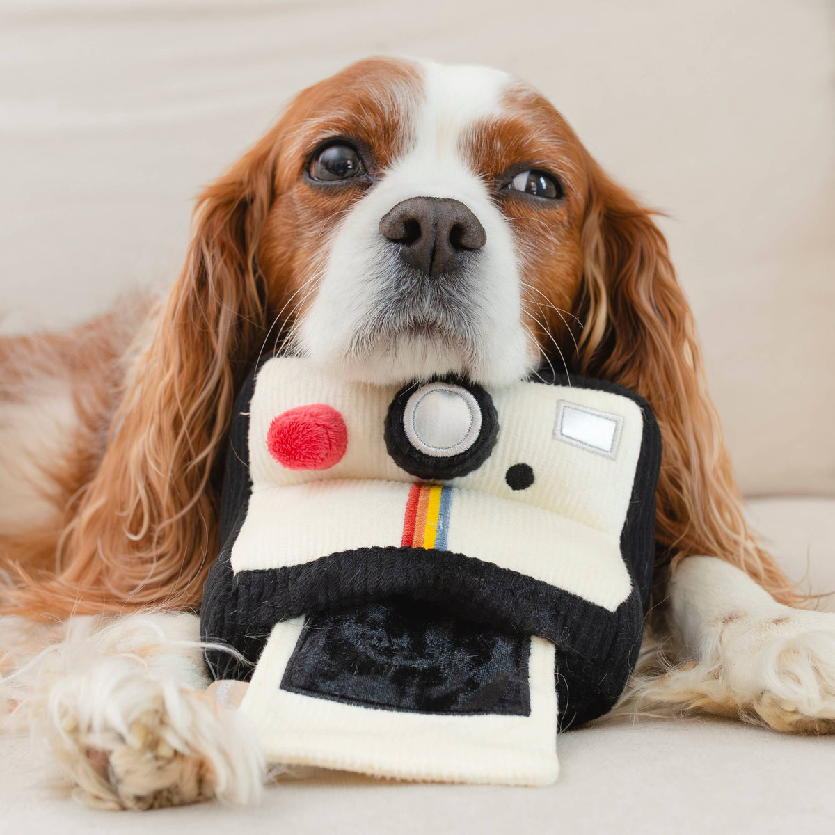 INSTANT CAMERA | SNUFFLE