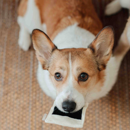 INSTANT CAMERA | SNUFFLE