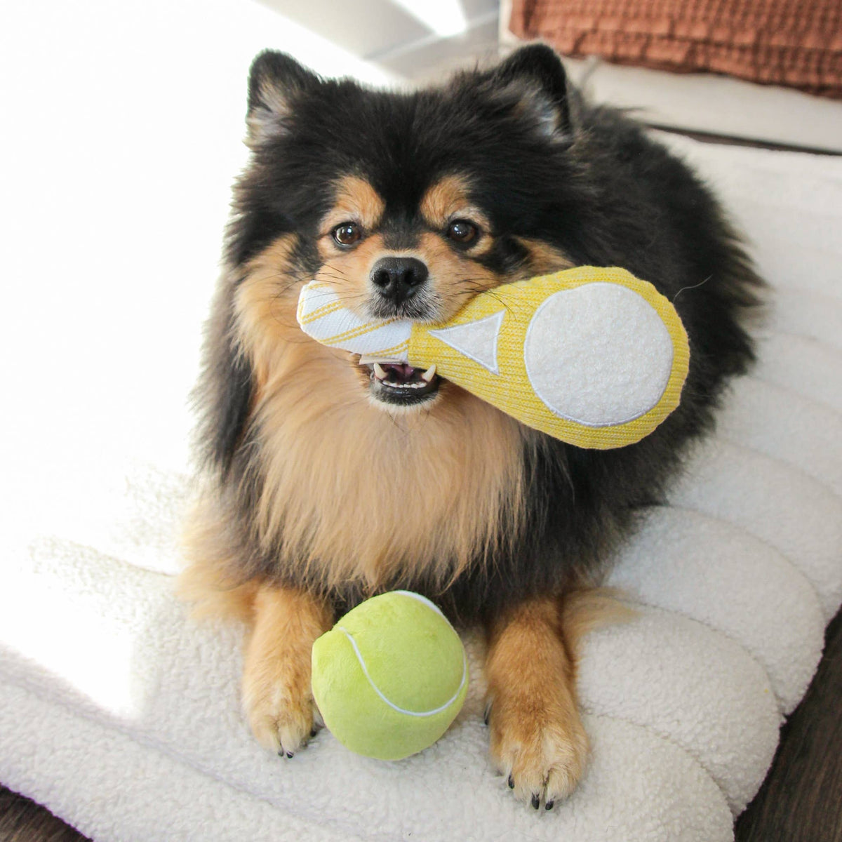TENNIS POP | Squeaky Ball Set