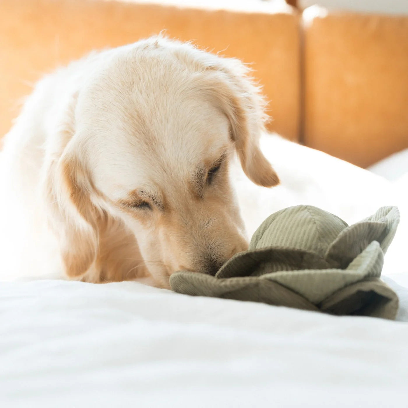 CABBAGE POP | SENSORY & SNUFFLE