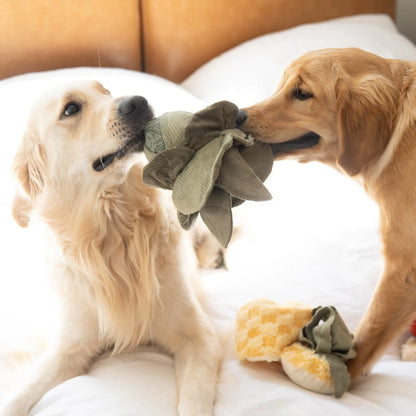 CABBAGE POP | SENSORY & SNUFFLE